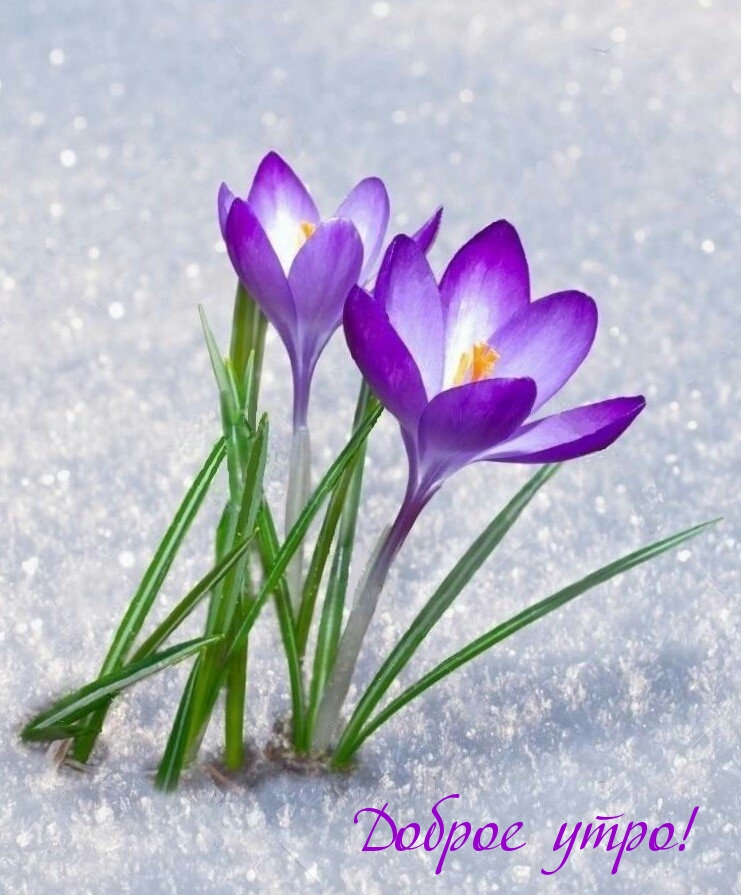 Доброе утро!