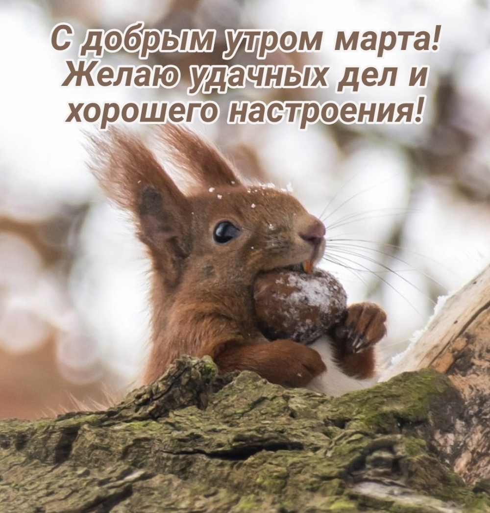 С добрым утром марта! Желаю удачных дел и хорошего настроения!