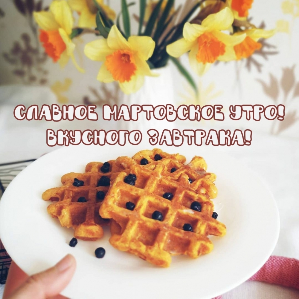 Славное мартовское утро! Вкусного завтрака!
