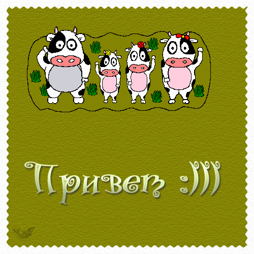 Привет! От семьи коровок милых