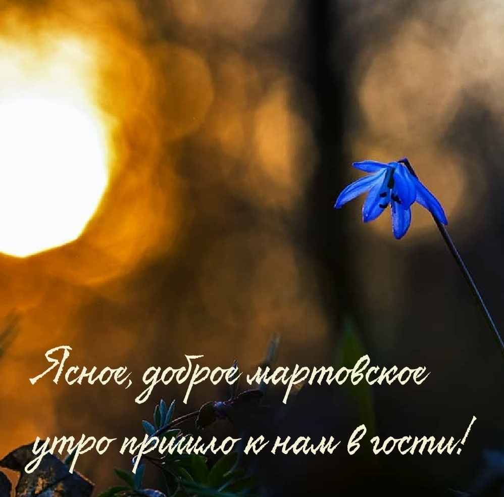 Ясное, доброе мартовское утро пришло к нам в гости!