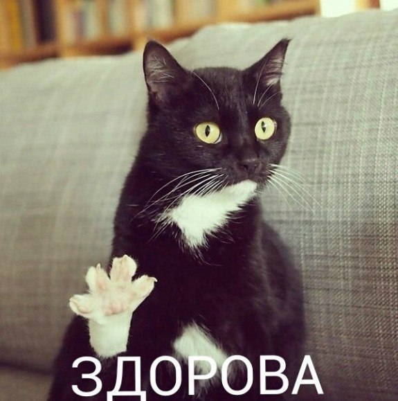 Здарова!