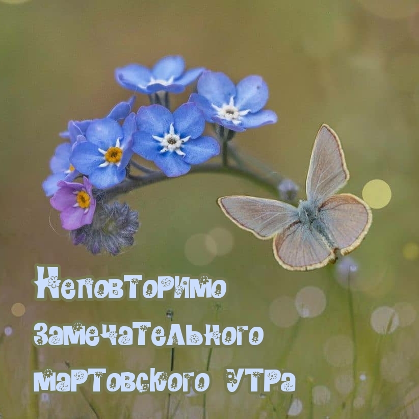 Неповторимо замечательного мартовского утра