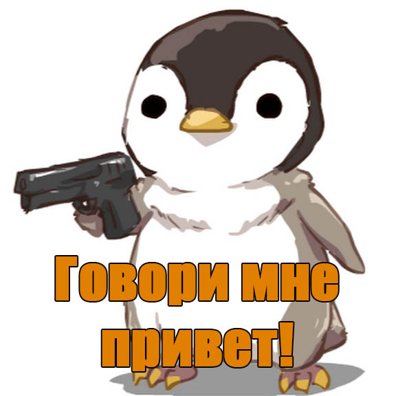 Говори мне привет! Быстро!