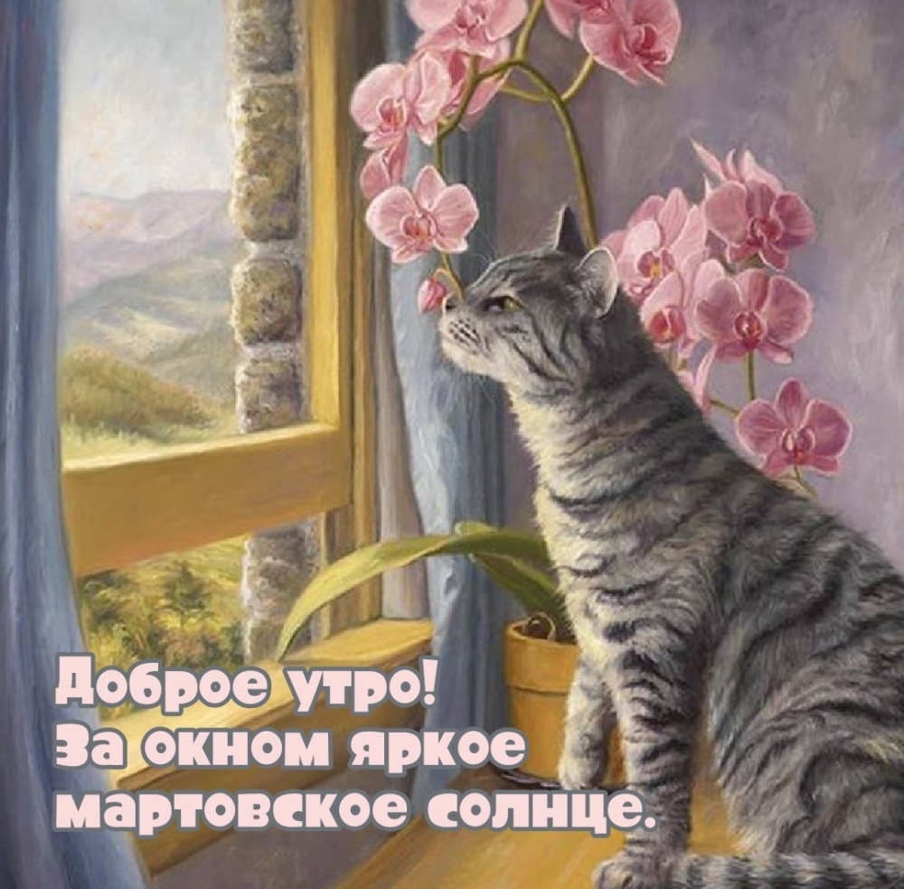 Доброе утро! За окном яркое мартовское солнце.