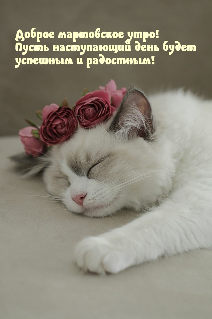 Доброе мартовское утро! Пусть день успешным и радостным!