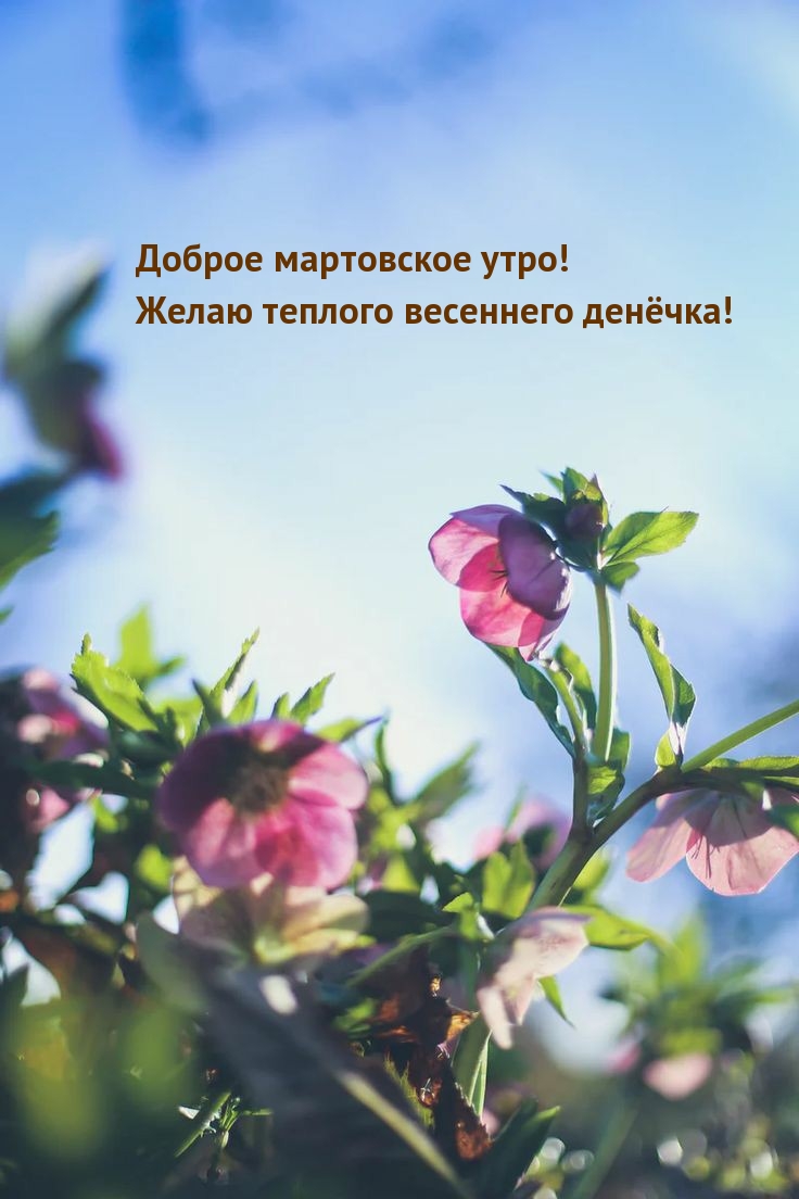 Доброе мартовское утро! Желаю теплого весеннего денëчка!