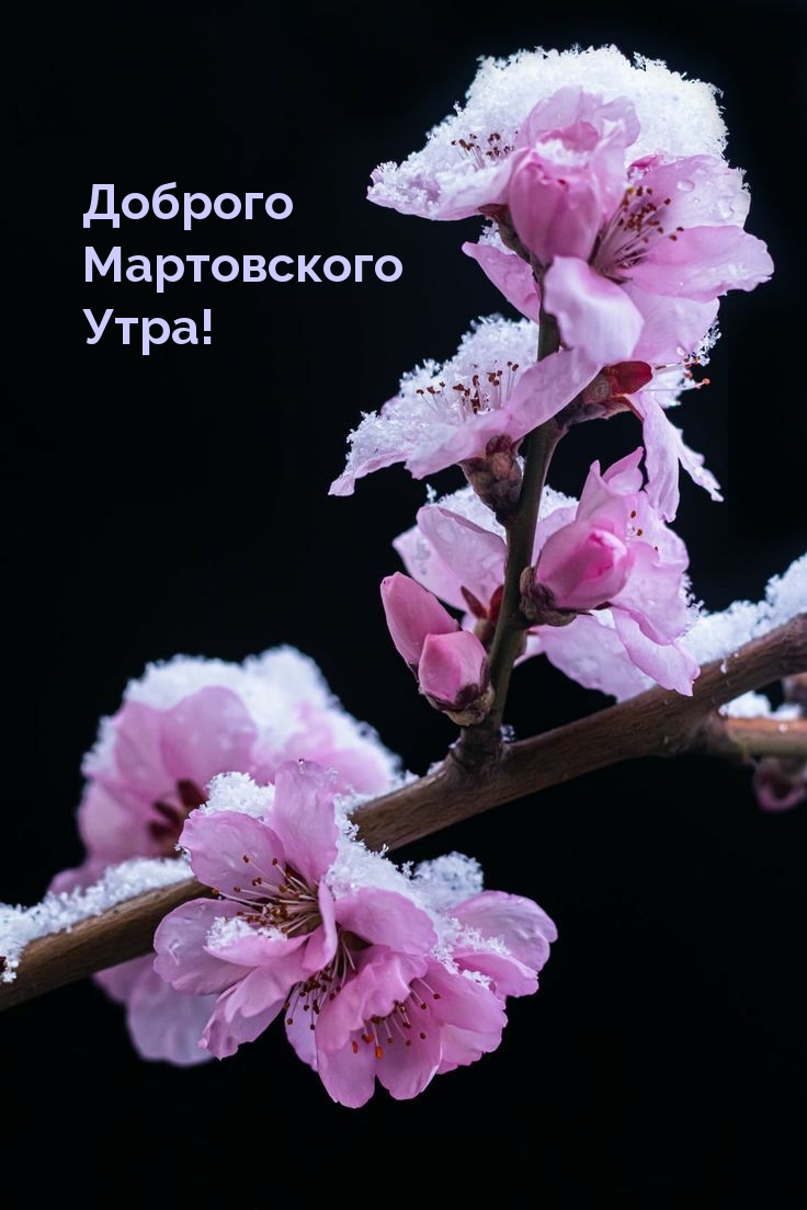 Доброго Мартовского Утра!