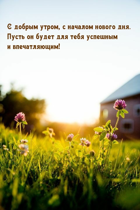 С добрым утром, с началом нового дня.