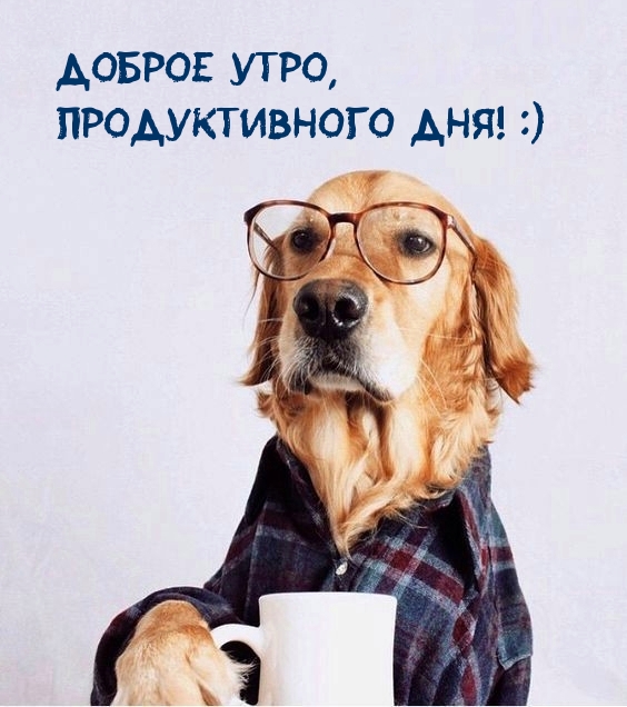 Доброе утро, продуктивного дня! :)