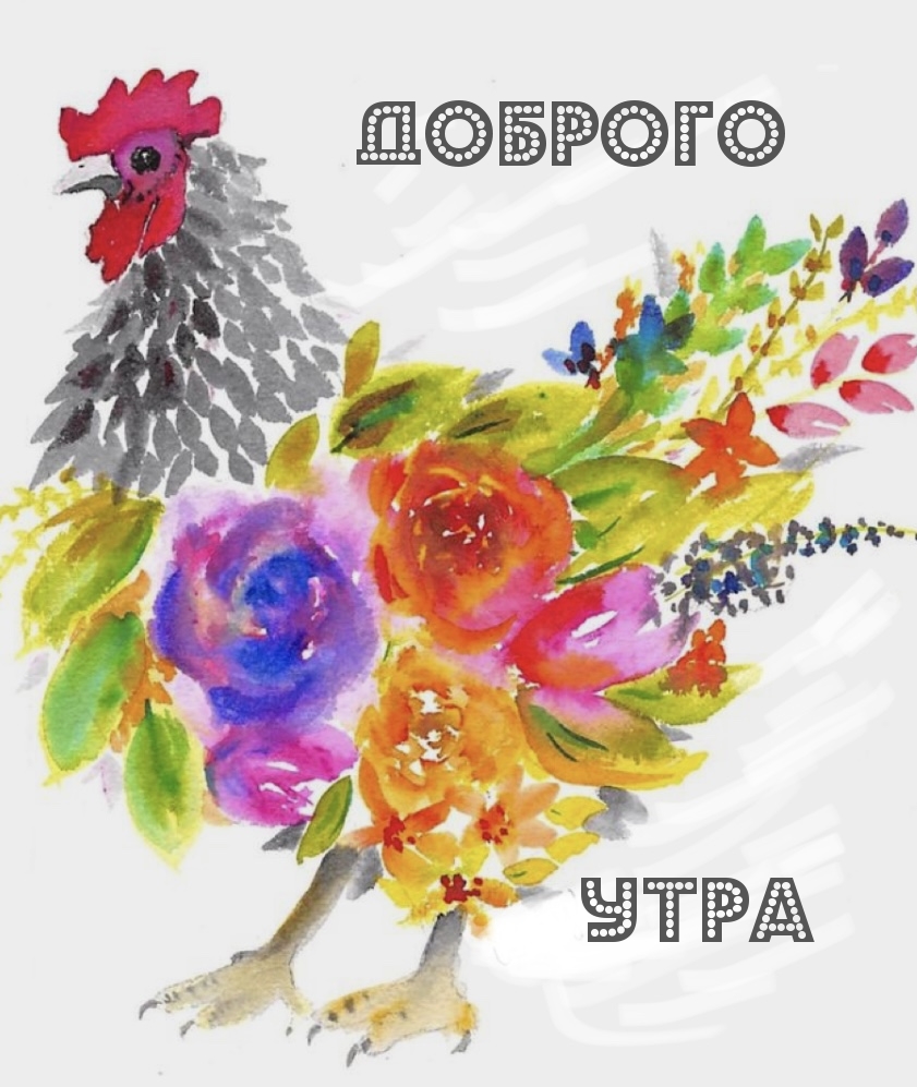 ДОБРОГО УТРА