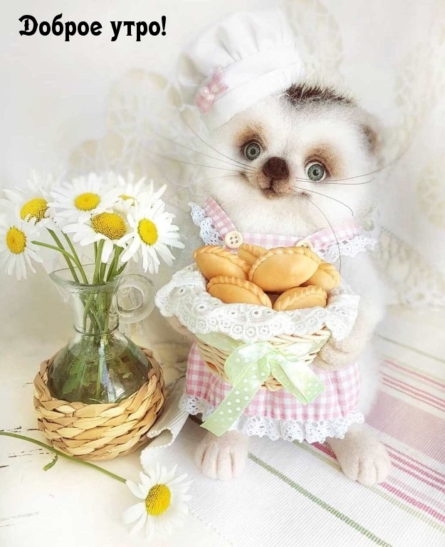 Доброе утро!