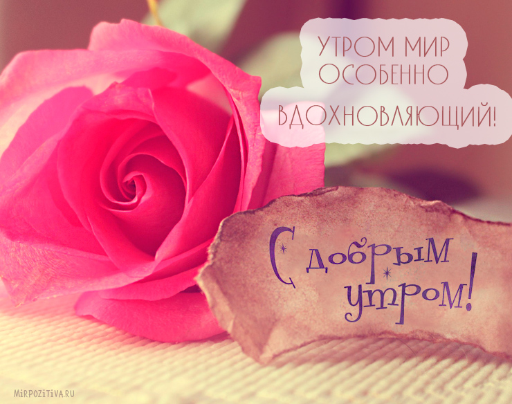 Утром мир особенно вдохновляющий!