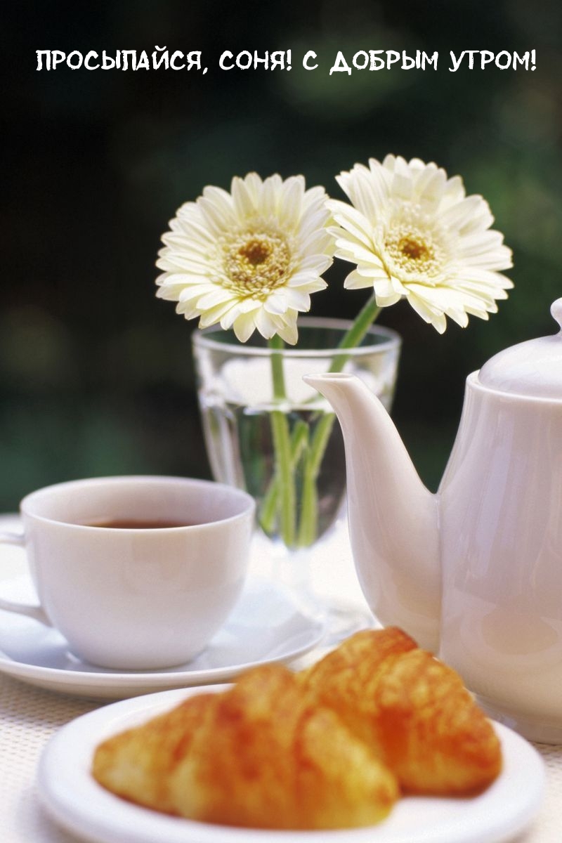 Просыпайся, соня! С добрым утром!