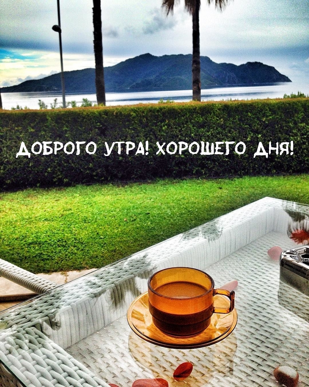 Доброго утра! Хорошего дня!