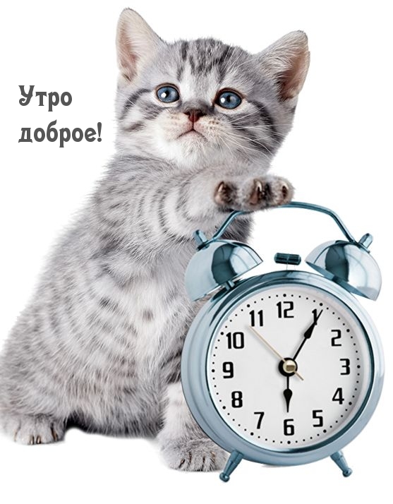 Утро доброе!