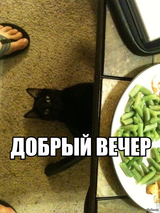 Добрый вечер!