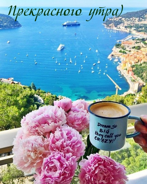Прекрасного утра)