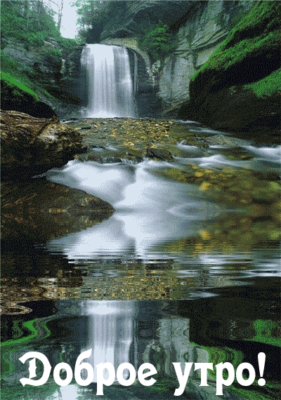 Доброе утро!