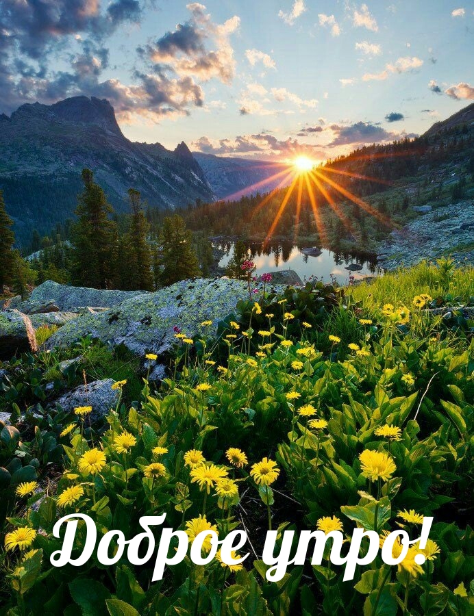 Доброе утро!
