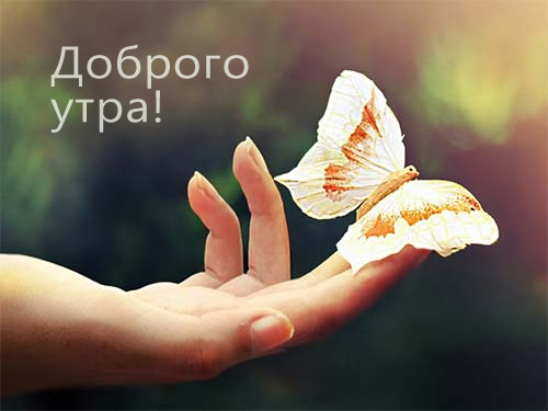 Доброго утра!