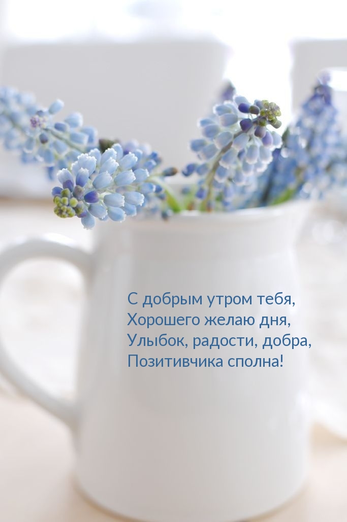 С добрым утром тебя, хорошего желаю дня!