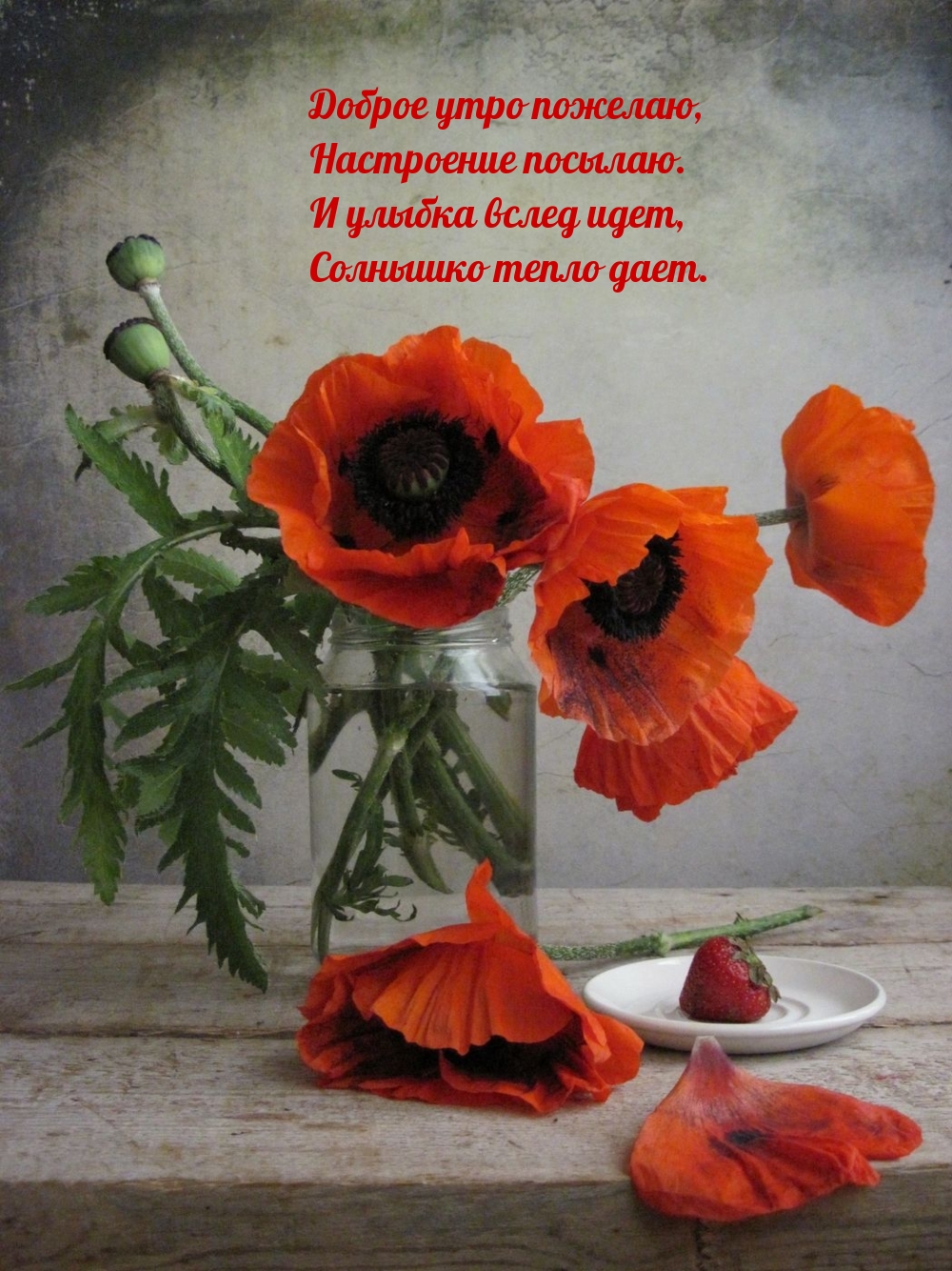 Доброе утро пожелаю, настроение посылаю.