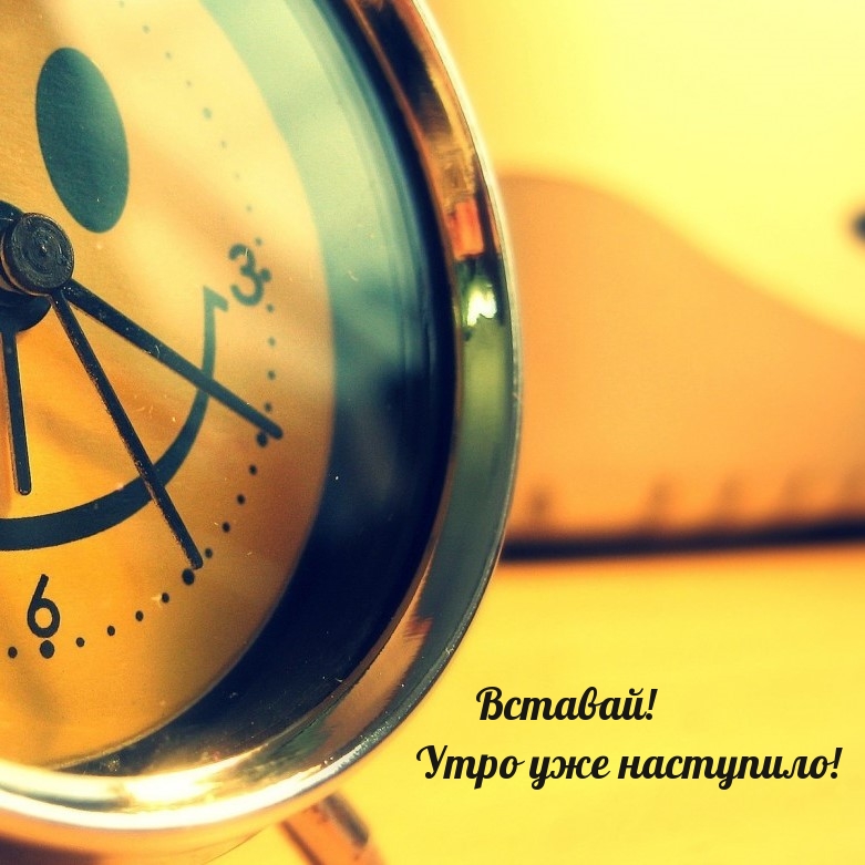 Вставай! Утро уже наступило!