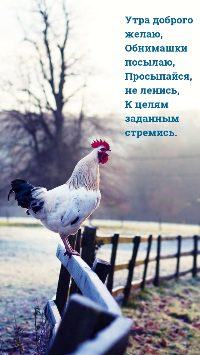 Утра доброго желаю, обнимашки посылаю