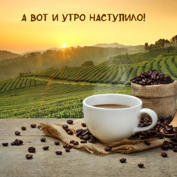 А вот и утро наступило!