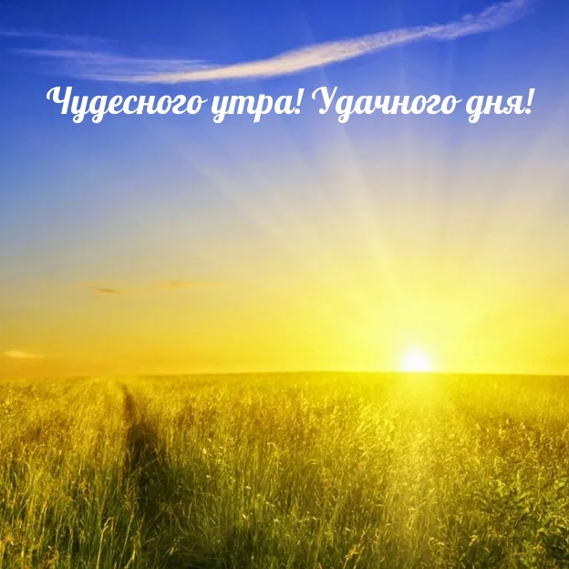 Чудесного утра! Удачного дня!