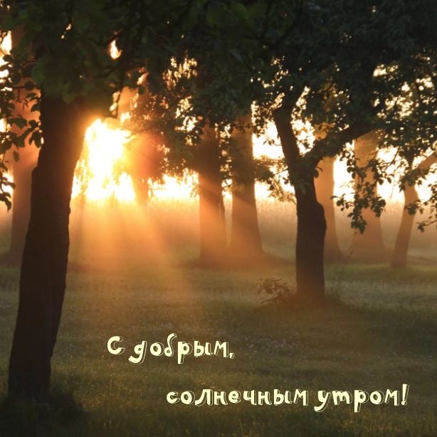 С добрым, солнечным утром!