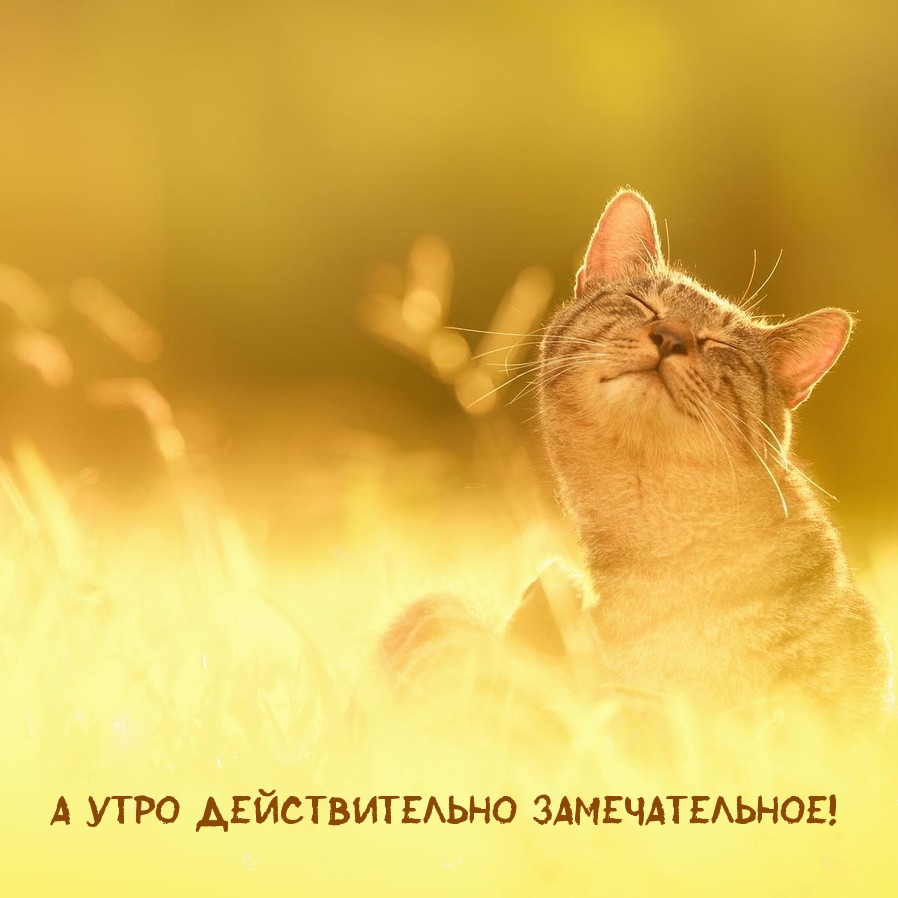 А утро действительно замечательное!