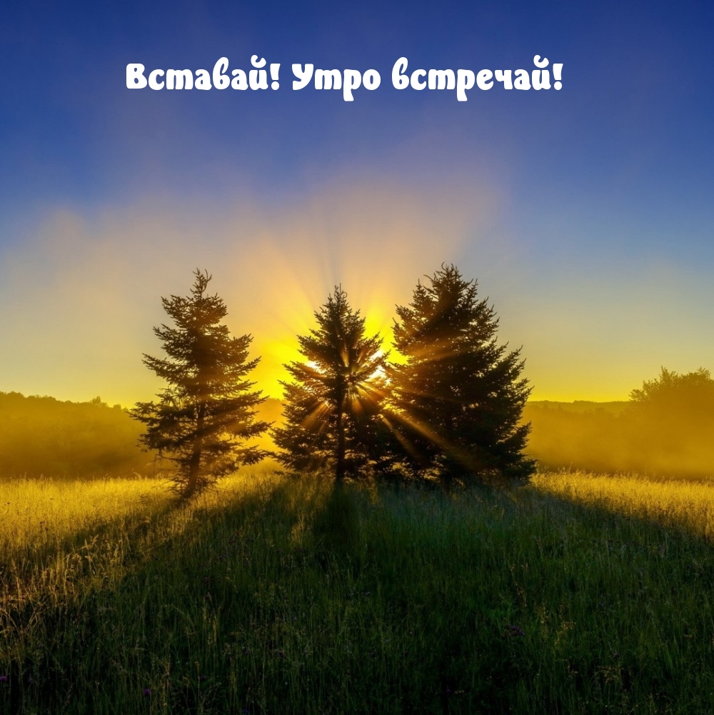 Вставай! Утро встречай!
