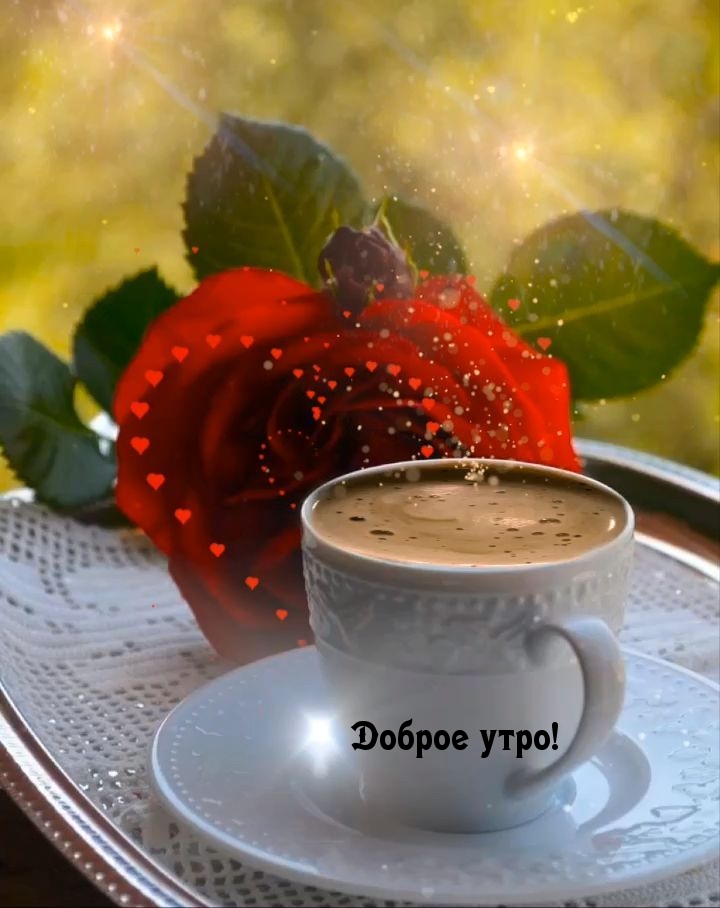 Доброе утро!