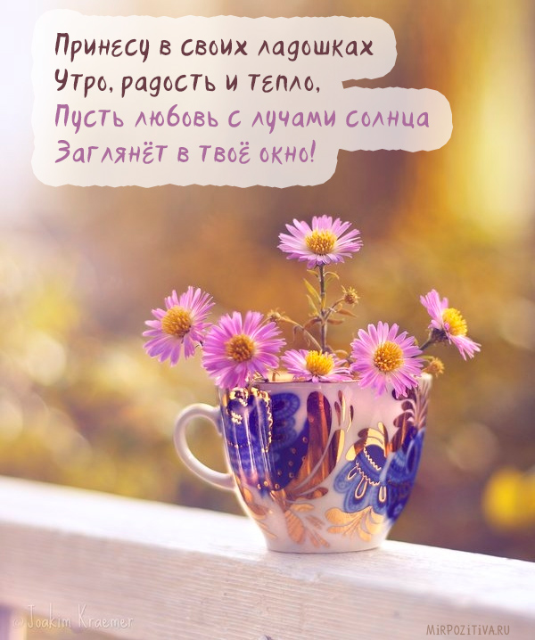 Принесу в своих ладошках утро, радость и тепло