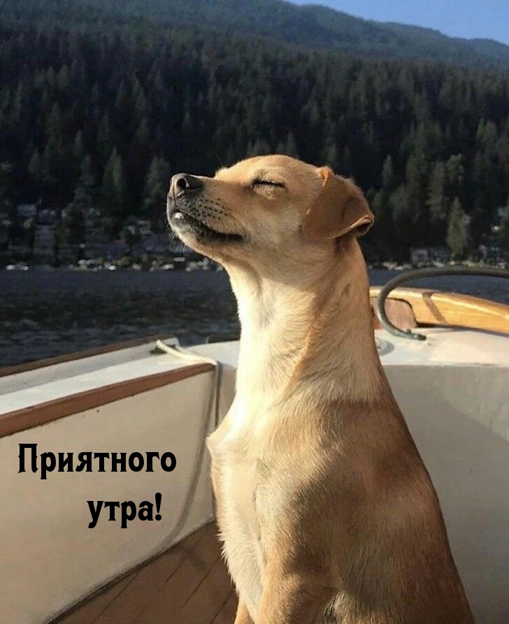 Приятного утра!