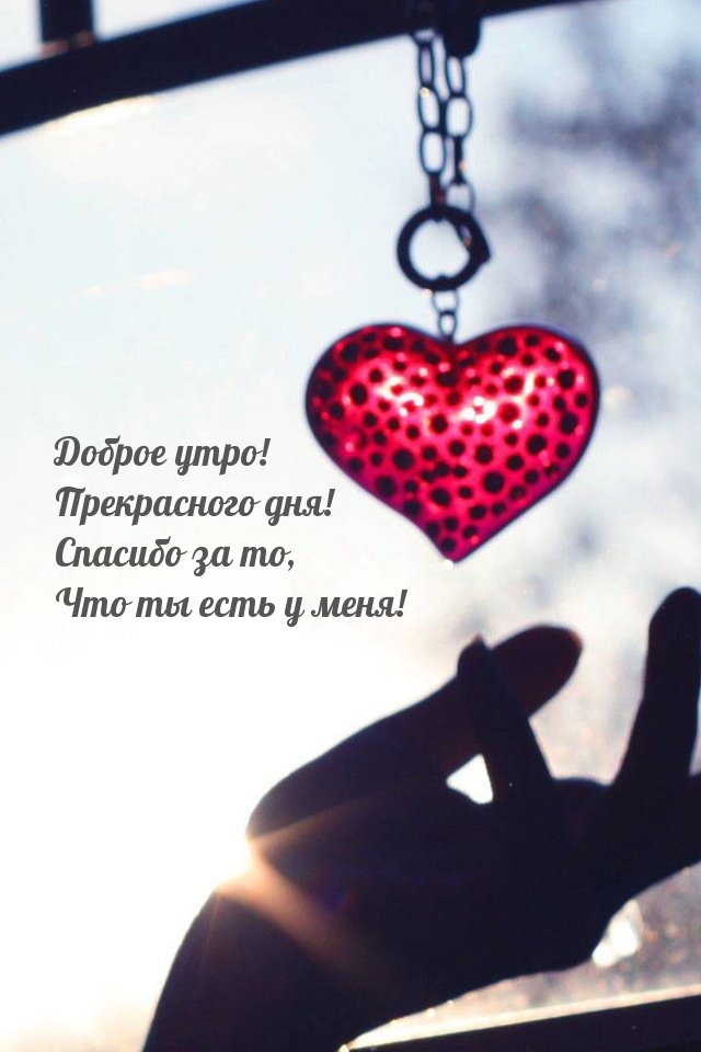 Доброе утро! Прекрасного дня! Спасибо за то, что ты есть у меня!