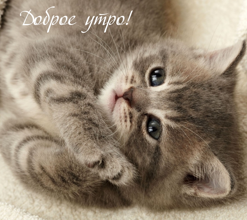 Доброе утро!