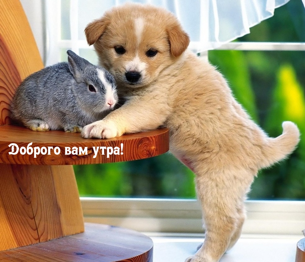 Доброго вам утра!