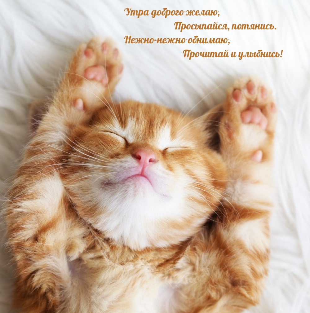 Утра доброго желаю, просыпайся, потянись.