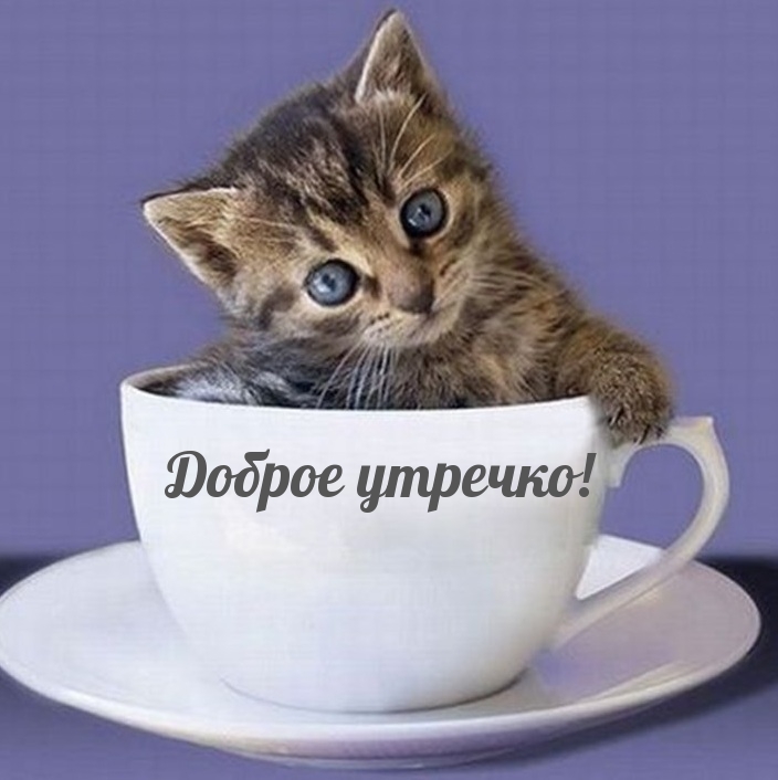 Доброе утречко!