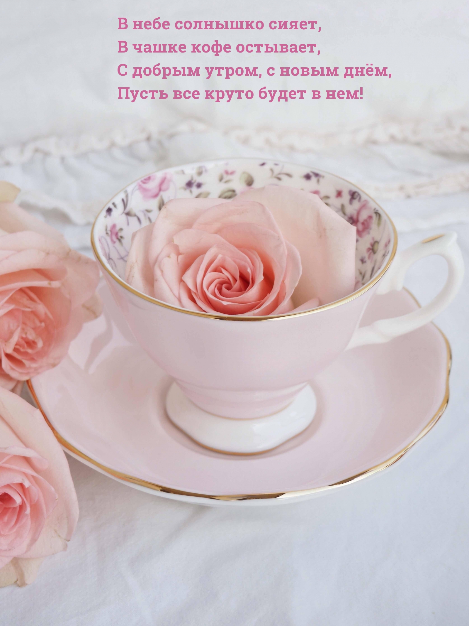 С добрым утром, с новым днём, пусть все круто будет в нем!