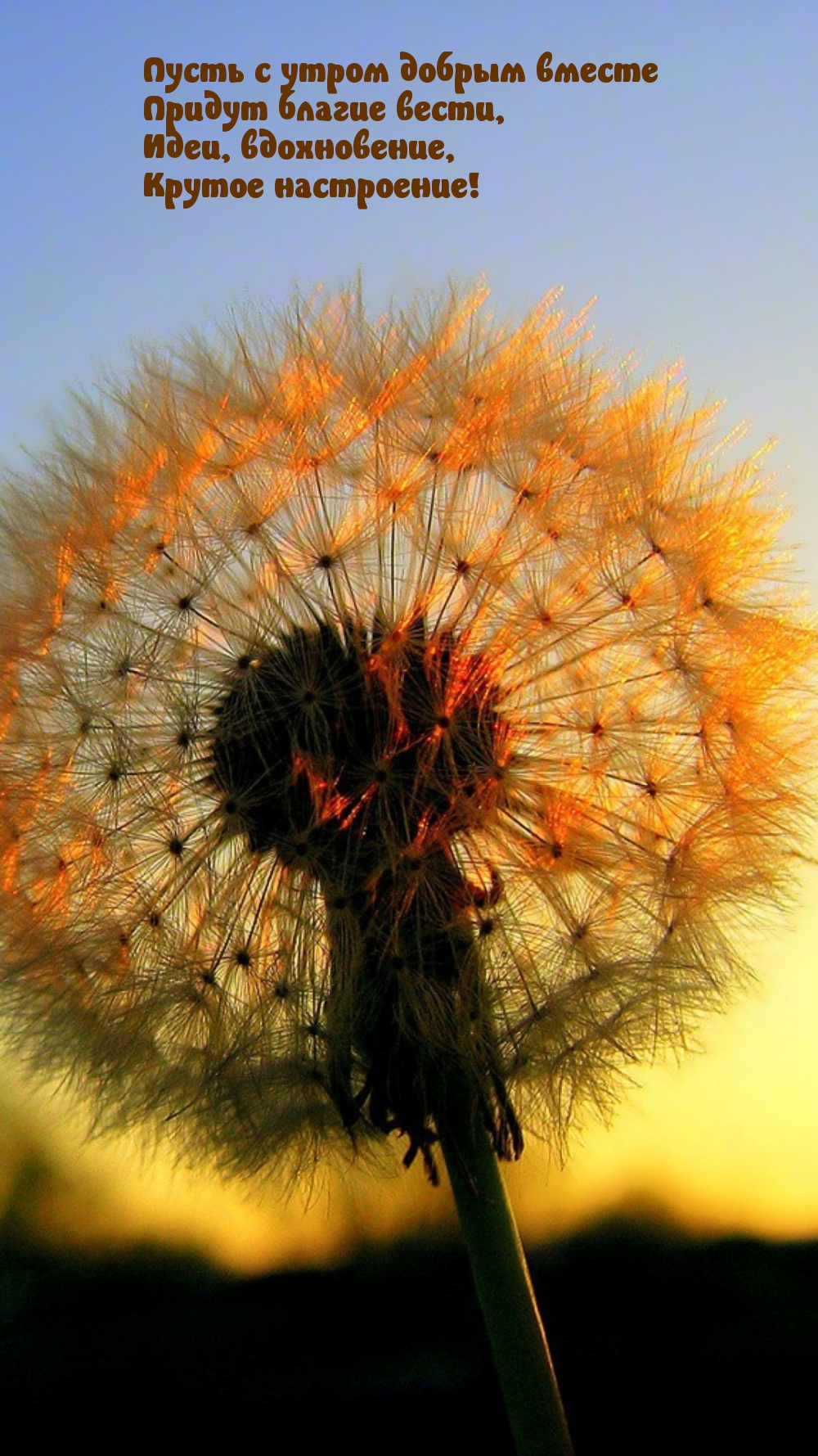 Пусть с утром добрым вместе придут благие вести