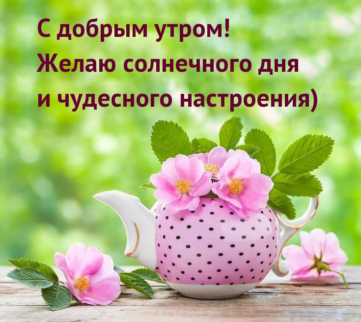 С добрым утром! Желаю солнечного дня и чудесного настроения)