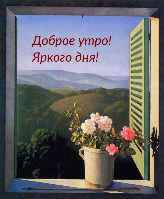 Доброе утро! Яркого дня!