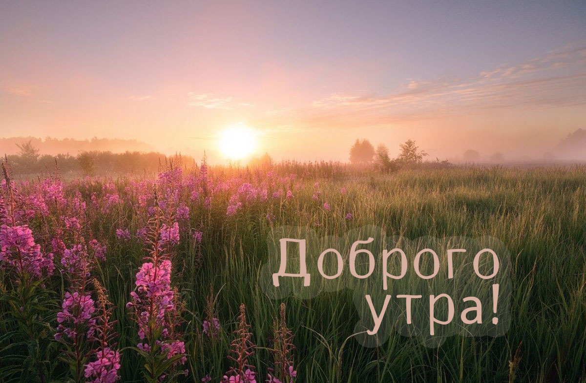 Доброго утра!
