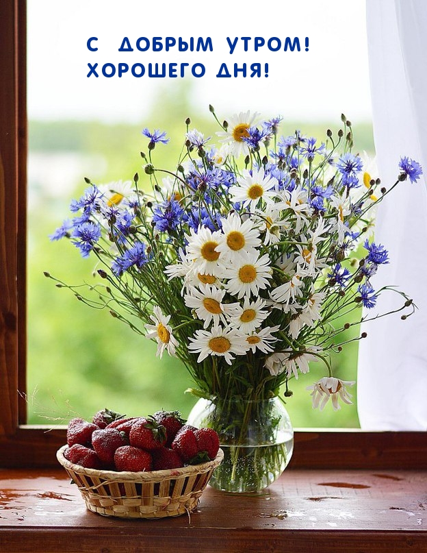 С добрым утром! Хорошего дня!