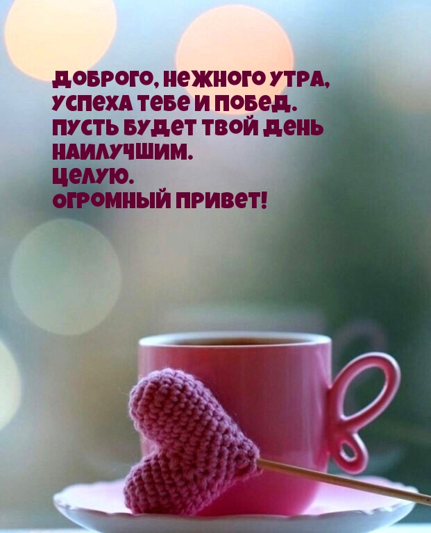 Доброго, нежного утра, успеха тебе и побед.