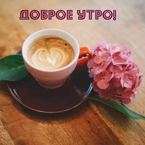 Доброе утро!